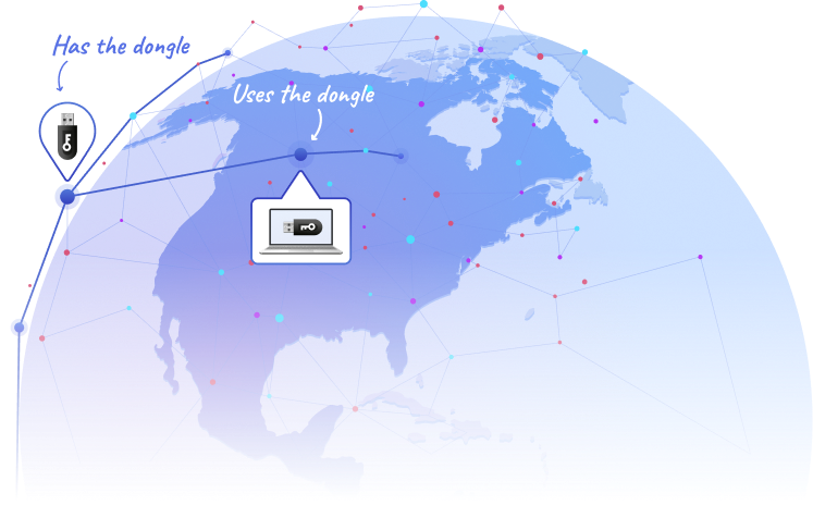  Donglify network illustration